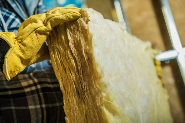 Best Residential Insulation in Lake Wylie, SC
